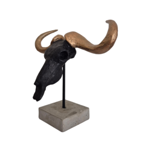 Buffalo Skull - Mini 19cm