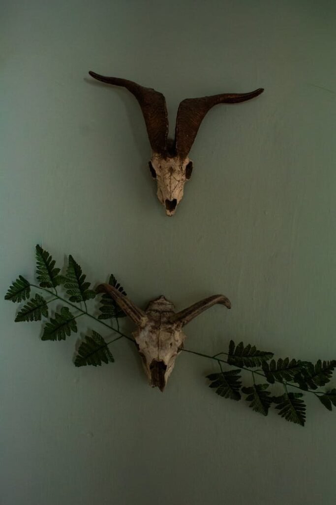 pexels photo 35554648 4.jpeg